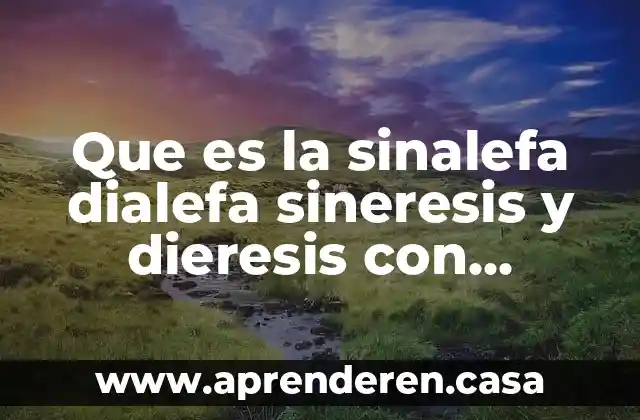 Que es la sinalefa dialefa sineresis y dieresis con ejemplos