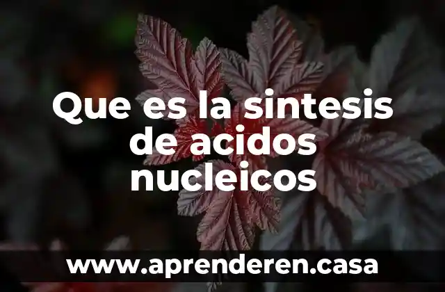 Que es la sintesis de acidos nucleicos