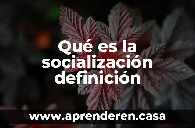 Qué es una asociada definición 4 Qué es la socialización definición
