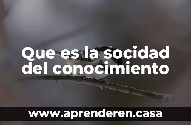 Que es la socidad del conocimiento