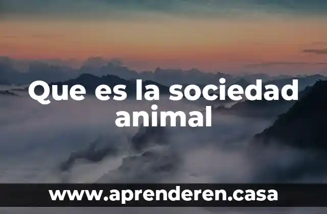 Que es la sociedad animal