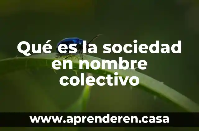 Qué es la sociedad en nombre colectivo