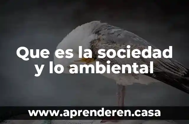 Que es la sociedad y lo ambiental