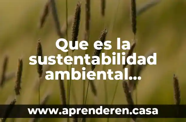 Que es la sustentabilidad ambiental concepto