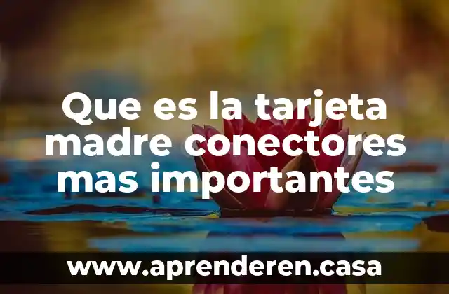 Que es la tarjeta madre conectores mas importantes