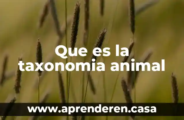 Que es la taxonomia animal