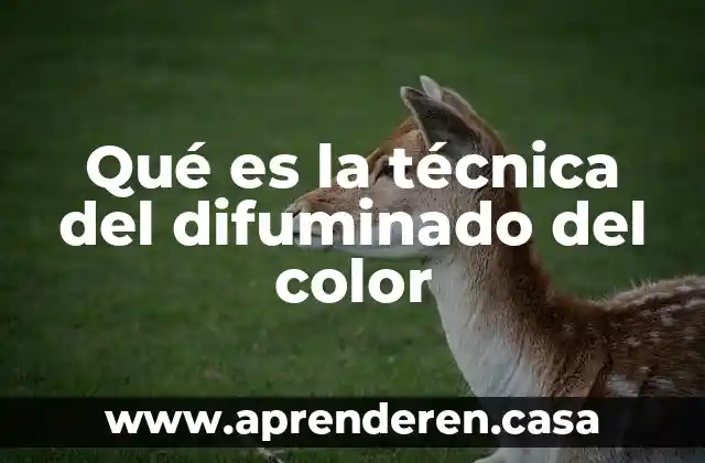 Qué es la técnica del difuminado del color