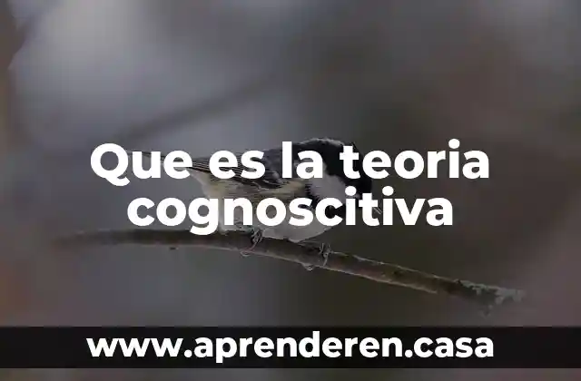 Que es la teoria cognoscitiva