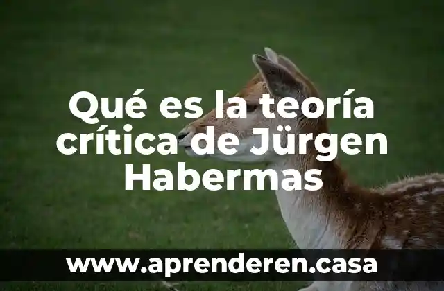 Qué es la teoría crítica de Jürgen Habermas