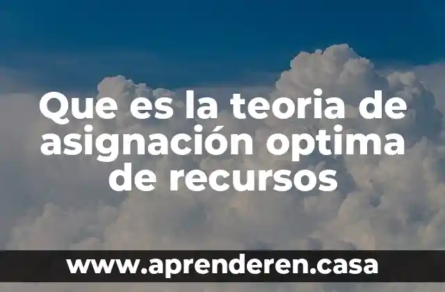 Que es la teoria de asignación optima de recursos