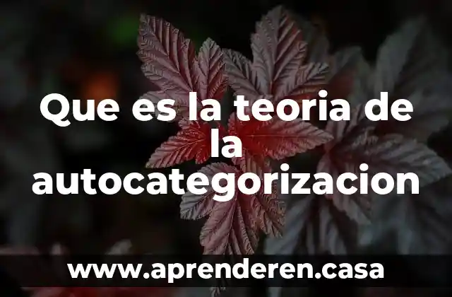 Que es la teoria de los tres estados 3 Que es la teoria de la autocategorizacion