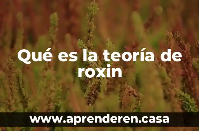 Qué es la teoría de roxin