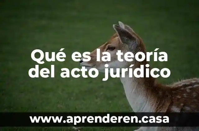 Qué es la teoría del acto jurídico