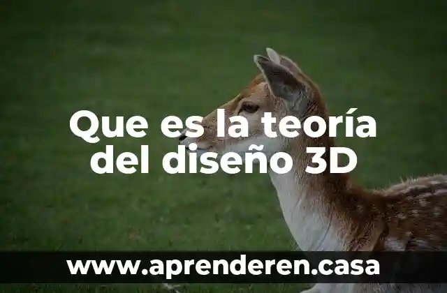 Que es la teoría del diseño 3D