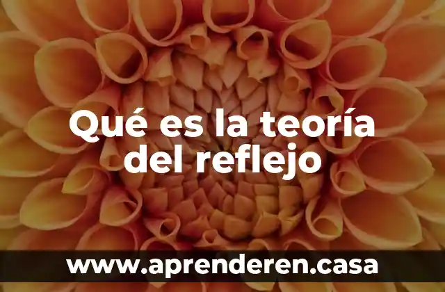 Qué es la ley del reflejo condicionado 3 Qué es la teoría del reflejo