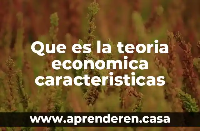 Que es la teoria economica caracteristicas