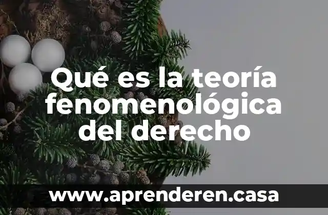 Qué es la teoría fenomenológica del derecho