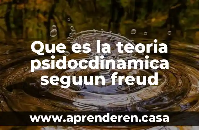 Que es la teoria psidocdinamica seguun freud