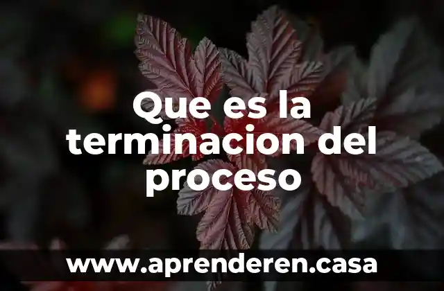 Que es un programa terminacion top abap 4 Que es la terminacion del proceso