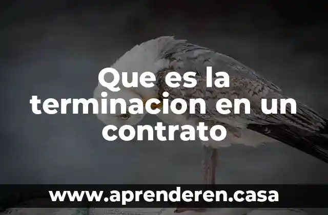 Que es un programa terminacion top abap 5 Que es la terminacion en un contrato