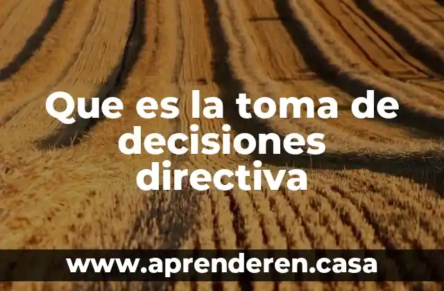 Que es la toma de decisiones directiva