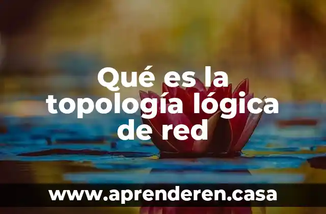 Qué es la topología lógica de red