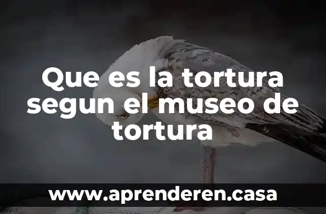 Que es la tortura segun el museo de tortura