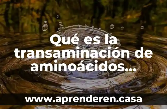 Qué es la transaminación de aminoácidos definición