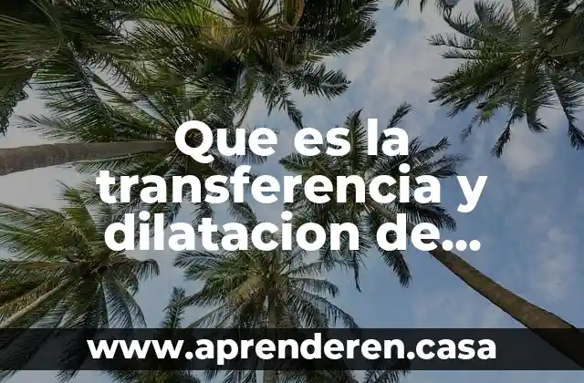 Que es la transferencia y dilatacion de cuerpos