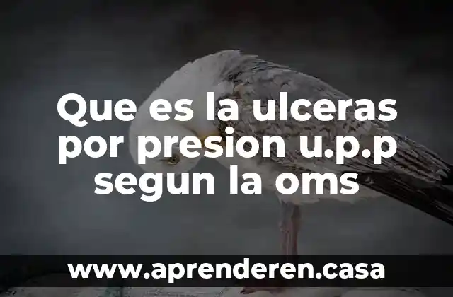 Que es la ulceras por presion u.p.p segun la oms