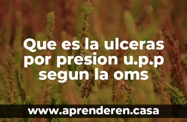 Que es la ulceras por presion u.p.p segun la oms