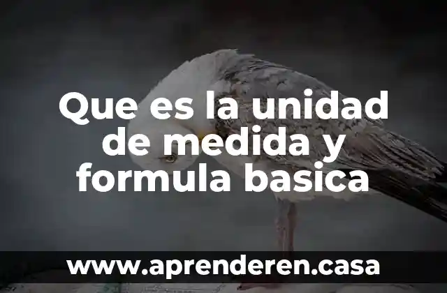 Que es la unidad de medida y formula basica