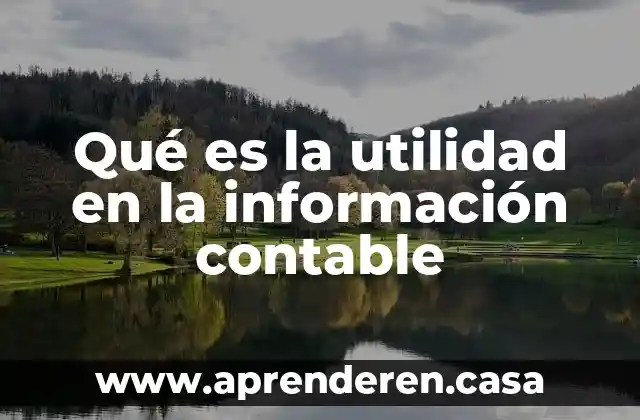 Qué es la utilidad en la información contable
