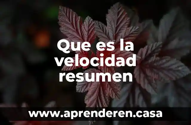 Que es la velocidad resumen
