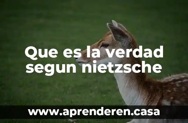 Que es la verdad segun nietzsche