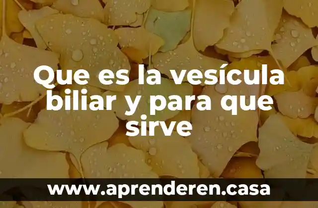 Que es la vesícula biliar y para que sirve