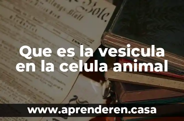 Que es la vesicula en la celula animal