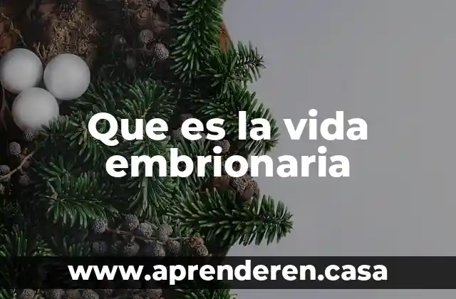 Que es la vida embrionaria