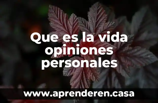 Que es la vida opiniones personales