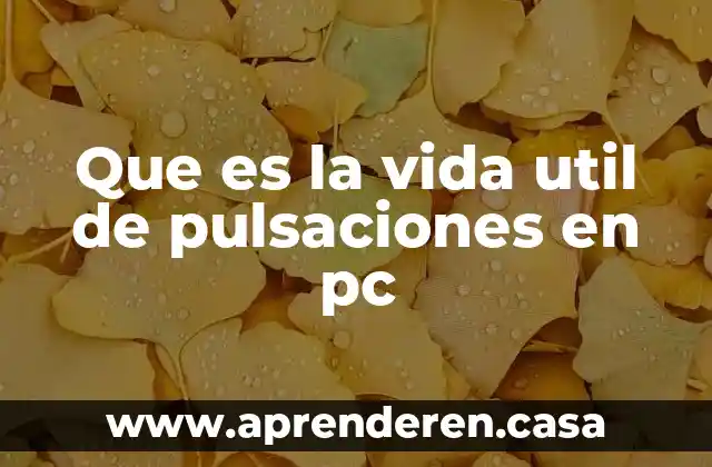 Que es la vida util de pulsaciones en pc