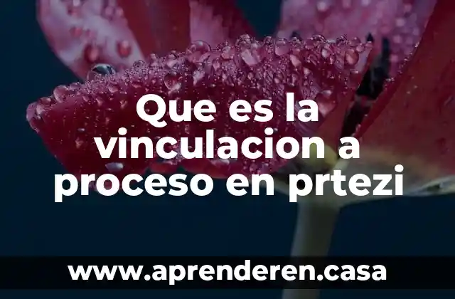 Que es la vinculacion a proceso en prtezi