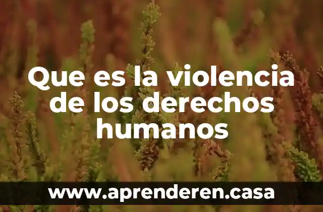 Que es un difusor de los derechos 7 Que es la violencia de los derechos humanos