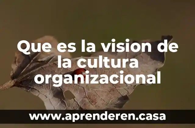 Que es la vision de la cultura organizacional