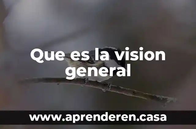 Que es la vision general