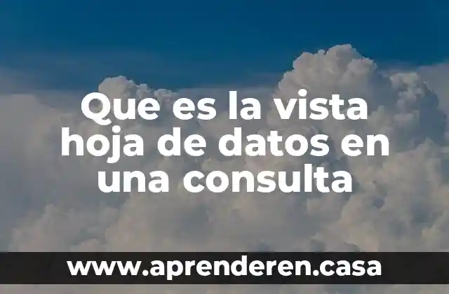 Que es la vista hoja de datos en una consulta