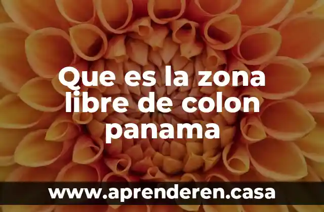 Que es la zona libre de colon panama
