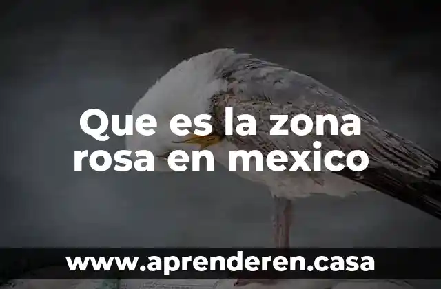 Qué es el delito de depositario infiel México 3 Que es la zona rosa en mexico