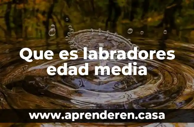 Que es peregrinacion en la edad media 3 Que es labradores edad media