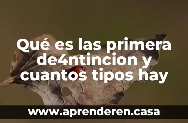 Qué es las primera de4ntincion y cuantos tipos hay