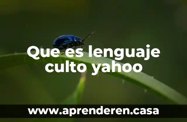 Que es lenguaje culto yahoo